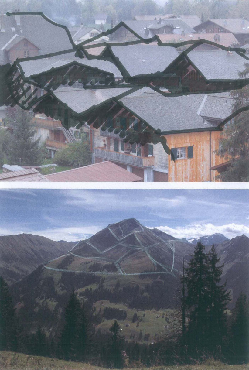 Competition new dairy processing Saanenland