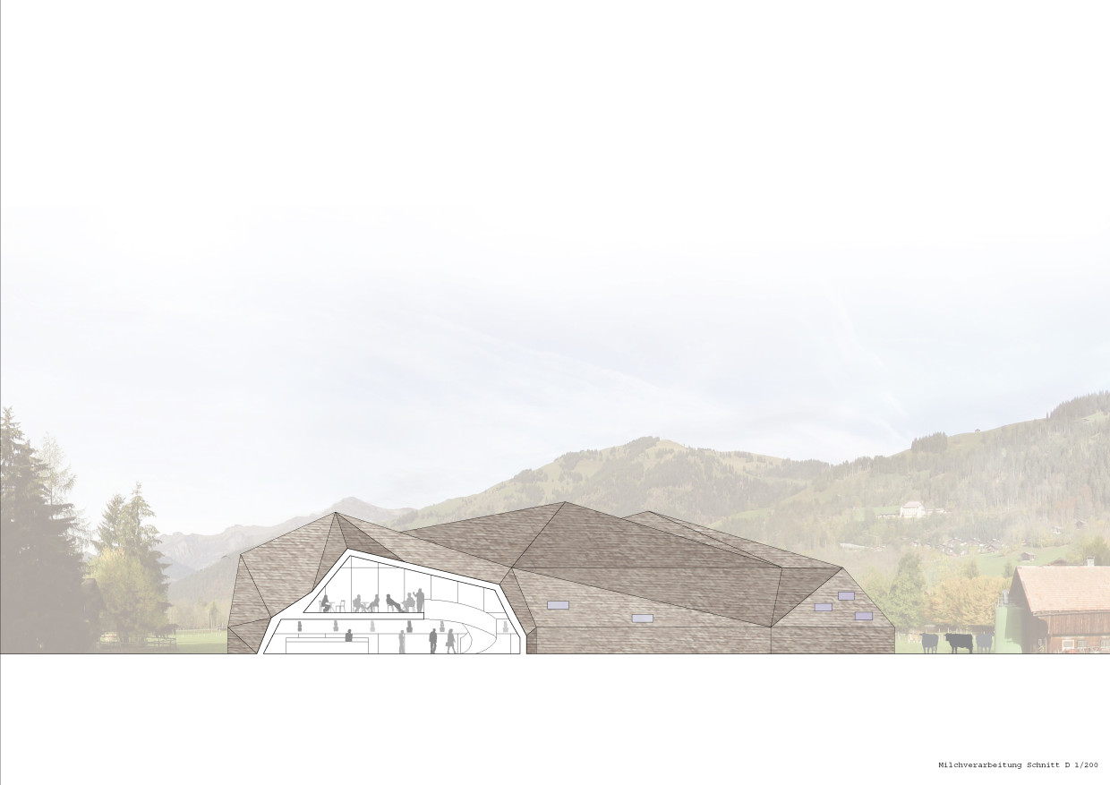 Competition new dairy processing Saanenland