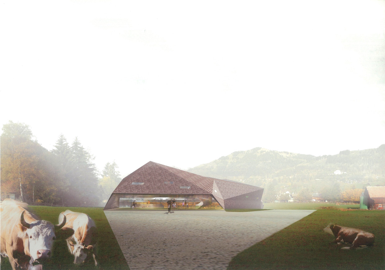 Competition new dairy processing Saanenland